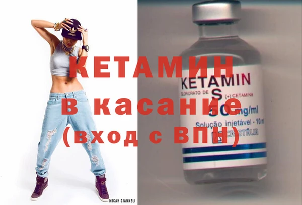гашик Алексин