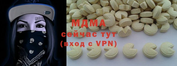 гашик Алексин
