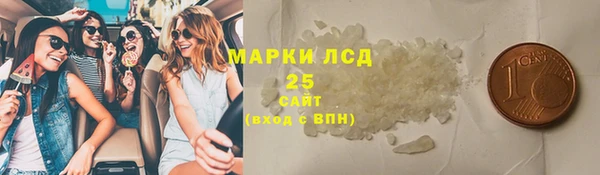 гашик Алексин