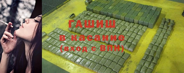 гашик Алексин