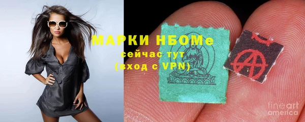 гашик Алексин
